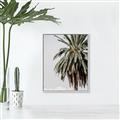 Picture of Canary Palm _GroupedProduct_Rectangle_Portrait_Photography _GroupedProduct_Rectangle_Portrait_Canvas_Framed_