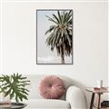 Picture of Canary Palm _GroupedProduct_Rectangle_Portrait_Photography _GroupedProduct_Rectangle_Portrait_Canvas_Framed_