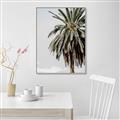 Picture of Canary Palm _GroupedProduct_Rectangle_Portrait_Photography _GroupedProduct_Rectangle_Portrait_Canvas_Framed_