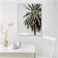 Picture of Canary Palm _GroupedProduct_Rectangle_Portrait_Photography _GroupedProduct_Rectangle_Portrait_Canvas_Framed_