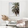 Picture of Canary Palm _GroupedProduct_Rectangle_Portrait_Photography _GroupedProduct_Rectangle_Portrait_Canvas_Framed_