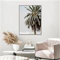 Picture of Canary Palm _GroupedProduct_Rectangle_Portrait_Photography _GroupedProduct_Rectangle_Portrait_Canvas_Framed_