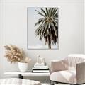 Picture of Canary Palm _GroupedProduct_Rectangle_Portrait_Photography _GroupedProduct_Rectangle_Portrait_Canvas_Framed_