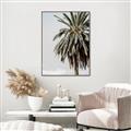 Picture of Canary Palm _GroupedProduct_Rectangle_Portrait_Photography _GroupedProduct_Rectangle_Portrait_Canvas_Framed_