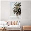 Picture of Canary Palm _GroupedProduct_Rectangle_Portrait_Photography _GroupedProduct_Rectangle_Portrait_Canvas_Framed_