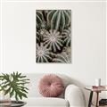 Picture of Cactus Zone _GroupedProduct_Rectangle_Portrait_Photography _GroupedProduct_Rectangle_Portrait_Canvas_Framed_