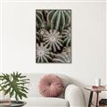 Picture of Cactus Zone _GroupedProduct_Rectangle_Portrait_Photography _GroupedProduct_Rectangle_Portrait_Canvas_Framed_