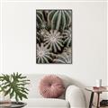 Picture of Cactus Zone _GroupedProduct_Rectangle_Portrait_Photography _GroupedProduct_Rectangle_Portrait_Canvas_Framed_