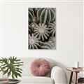 Picture of Cactus Zone _GroupedProduct_Rectangle_Portrait_Photography _GroupedProduct_Rectangle_Portrait_Canvas_Framed_
