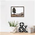 Picture of Tree on a Hill _GroupedProduct_Rectangle_Landscape_Photography _GroupedProduct_Rectangle_Landscape_Canvas_Framed_