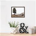 Picture of Tree on a Hill _GroupedProduct_Rectangle_Landscape_Photography _GroupedProduct_Rectangle_Landscape_Canvas_Framed_