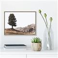 Picture of Tree on a Hill _GroupedProduct_Rectangle_Landscape_Photography _GroupedProduct_Rectangle_Landscape_Canvas_Framed_