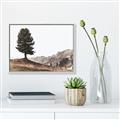 Picture of Tree on a Hill _GroupedProduct_Rectangle_Landscape_Photography _GroupedProduct_Rectangle_Landscape_Canvas_Framed_