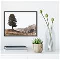 Picture of Tree on a Hill _GroupedProduct_Rectangle_Landscape_Photography _GroupedProduct_Rectangle_Landscape_Canvas_Framed_