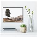 Picture of Tree on a Hill _GroupedProduct_Rectangle_Landscape_Photography _GroupedProduct_Rectangle_Landscape_Canvas_Framed_