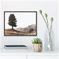 Picture of Tree on a Hill _GroupedProduct_Rectangle_Landscape_Photography _GroupedProduct_Rectangle_Landscape_Canvas_Framed_