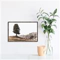 Picture of Tree on a Hill _GroupedProduct_Rectangle_Landscape_Photography _GroupedProduct_Rectangle_Landscape_Canvas_Framed_