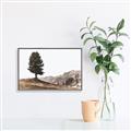 Picture of Tree on a Hill _GroupedProduct_Rectangle_Landscape_Photography _GroupedProduct_Rectangle_Landscape_Canvas_Framed_
