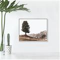 Picture of Tree on a Hill _GroupedProduct_Rectangle_Landscape_Photography _GroupedProduct_Rectangle_Landscape_Canvas_Framed_