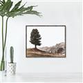 Picture of Tree on a Hill _GroupedProduct_Rectangle_Landscape_Photography _GroupedProduct_Rectangle_Landscape_Canvas_Framed_
