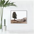 Picture of Tree on a Hill _GroupedProduct_Rectangle_Landscape_Photography _GroupedProduct_Rectangle_Landscape_Canvas_Framed_