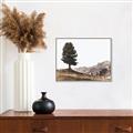 Picture of Tree on a Hill _GroupedProduct_Rectangle_Landscape_Photography _GroupedProduct_Rectangle_Landscape_Canvas_Framed_