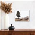 Picture of Tree on a Hill _GroupedProduct_Rectangle_Landscape_Photography _GroupedProduct_Rectangle_Landscape_Canvas_Framed_