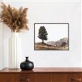 Picture of Tree on a Hill _GroupedProduct_Rectangle_Landscape_Photography _GroupedProduct_Rectangle_Landscape_Canvas_Framed_