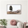 Picture of Tree on a Hill _GroupedProduct_Rectangle_Landscape_Photography _GroupedProduct_Rectangle_Landscape_Canvas_Framed_