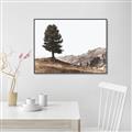 Picture of Tree on a Hill _GroupedProduct_Rectangle_Landscape_Photography _GroupedProduct_Rectangle_Landscape_Canvas_Framed_