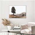 Picture of Tree on a Hill _GroupedProduct_Rectangle_Landscape_Photography _GroupedProduct_Rectangle_Landscape_Canvas_Framed_