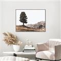 Picture of Tree on a Hill _GroupedProduct_Rectangle_Landscape_Photography _GroupedProduct_Rectangle_Landscape_Canvas_Framed_