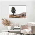 Picture of Tree on a Hill _GroupedProduct_Rectangle_Landscape_Photography _GroupedProduct_Rectangle_Landscape_Canvas_Framed_