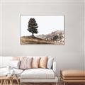 Picture of Tree on a Hill _GroupedProduct_Rectangle_Landscape_Photography _GroupedProduct_Rectangle_Landscape_Canvas_Framed_