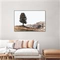 Picture of Tree on a Hill _GroupedProduct_Rectangle_Landscape_Photography _GroupedProduct_Rectangle_Landscape_Canvas_Framed_