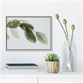 Picture of Spring Dew Leaves _GroupedProduct_Rectangle_Landscape_Photography _GroupedProduct_Rectangle_Landscape_Canvas_Framed_