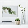 Picture of Spring Dew Leaves _GroupedProduct_Rectangle_Landscape_Photography _GroupedProduct_Rectangle_Landscape_Canvas_Framed_