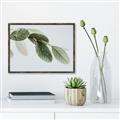Picture of Spring Dew Leaves _GroupedProduct_Rectangle_Landscape_Photography _GroupedProduct_Rectangle_Landscape_Canvas_Framed_