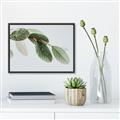 Picture of Spring Dew Leaves _GroupedProduct_Rectangle_Landscape_Photography _GroupedProduct_Rectangle_Landscape_Canvas_Framed_