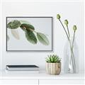 Picture of Spring Dew Leaves _GroupedProduct_Rectangle_Landscape_Photography _GroupedProduct_Rectangle_Landscape_Canvas_Framed_