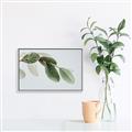 Picture of Spring Dew Leaves _GroupedProduct_Rectangle_Landscape_Photography _GroupedProduct_Rectangle_Landscape_Canvas_Framed_
