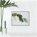 Picture of Spring Dew Leaves _GroupedProduct_Rectangle_Landscape_Photography _GroupedProduct_Rectangle_Landscape_Canvas_Framed_