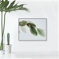 Picture of Spring Dew Leaves _GroupedProduct_Rectangle_Landscape_Photography _GroupedProduct_Rectangle_Landscape_Canvas_Framed_