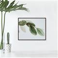 Picture of Spring Dew Leaves _GroupedProduct_Rectangle_Landscape_Photography _GroupedProduct_Rectangle_Landscape_Canvas_Framed_