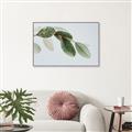 Picture of Spring Dew Leaves _GroupedProduct_Rectangle_Landscape_Photography _GroupedProduct_Rectangle_Landscape_Canvas_Framed_