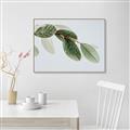 Picture of Spring Dew Leaves _GroupedProduct_Rectangle_Landscape_Photography _GroupedProduct_Rectangle_Landscape_Canvas_Framed_