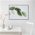 Picture of Spring Dew Leaves _GroupedProduct_Rectangle_Landscape_Photography _GroupedProduct_Rectangle_Landscape_Canvas_Framed_