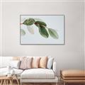 Picture of Spring Dew Leaves _GroupedProduct_Rectangle_Landscape_Photography _GroupedProduct_Rectangle_Landscape_Canvas_Framed_