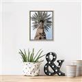 Picture of Palm Perfection _GroupedProduct_Rectangle_Portrait_Photography _GroupedProduct_Rectangle_Portrait_Canvas_Framed_