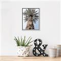 Picture of Palm Perfection _GroupedProduct_Rectangle_Portrait_Photography _GroupedProduct_Rectangle_Portrait_Canvas_Framed_